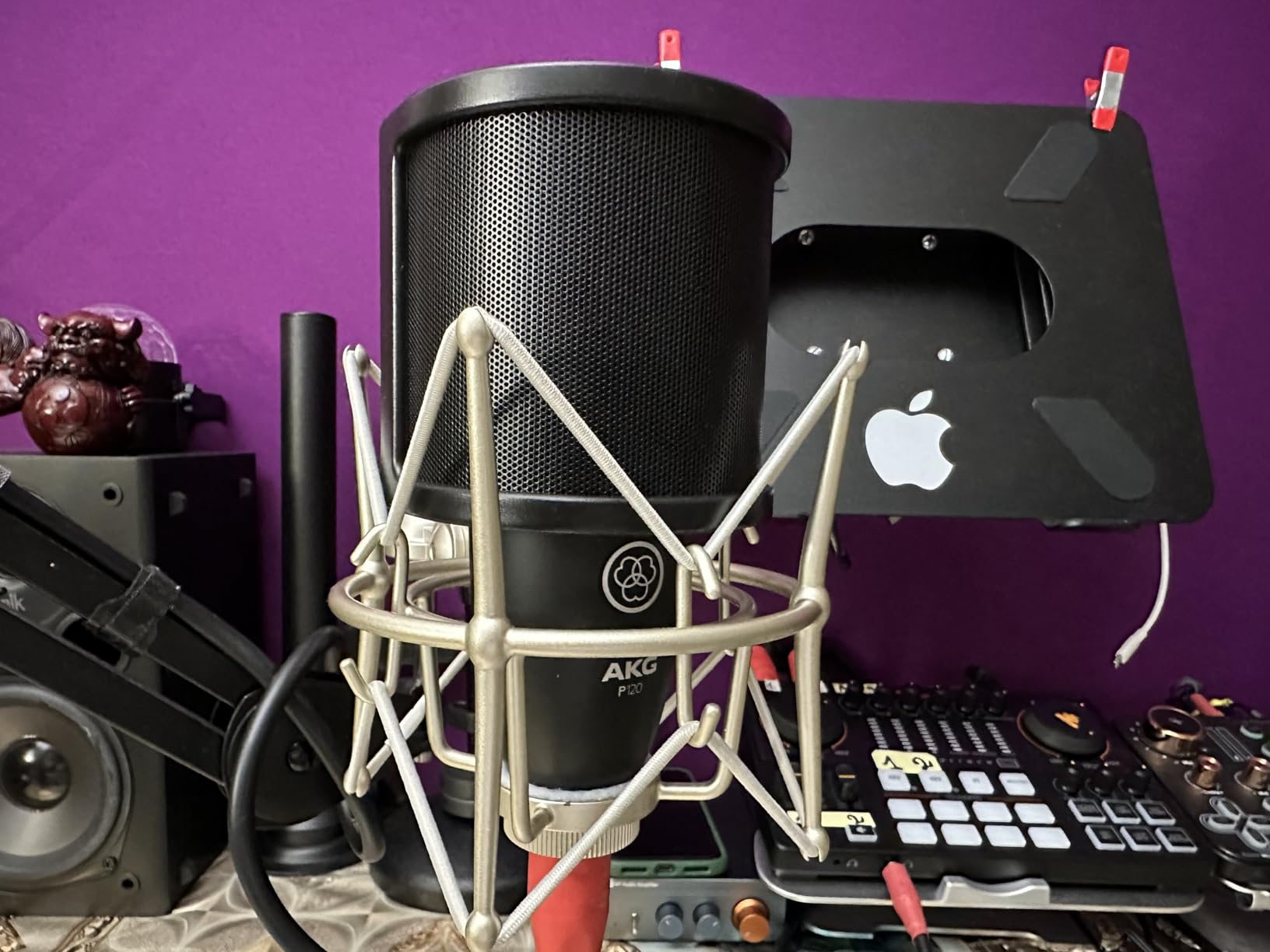 AKG Pro Audio P120 - Affordable 2/3-Inch Diaphragm Condenser Microphone for Clear Vocals & Instruments, Studio Recording or Live, XLR Connector, Black customer photo 1