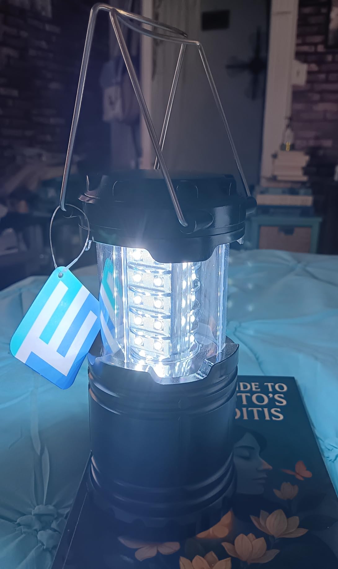 Etekcity LED Camping Lanterns, Battery Operated, 2 Pack | Power Outages, Hurricane Preparedness, Camping, Emergency Kit, Water Resistant, Collapsible Design, Batteries Included customer photo 2