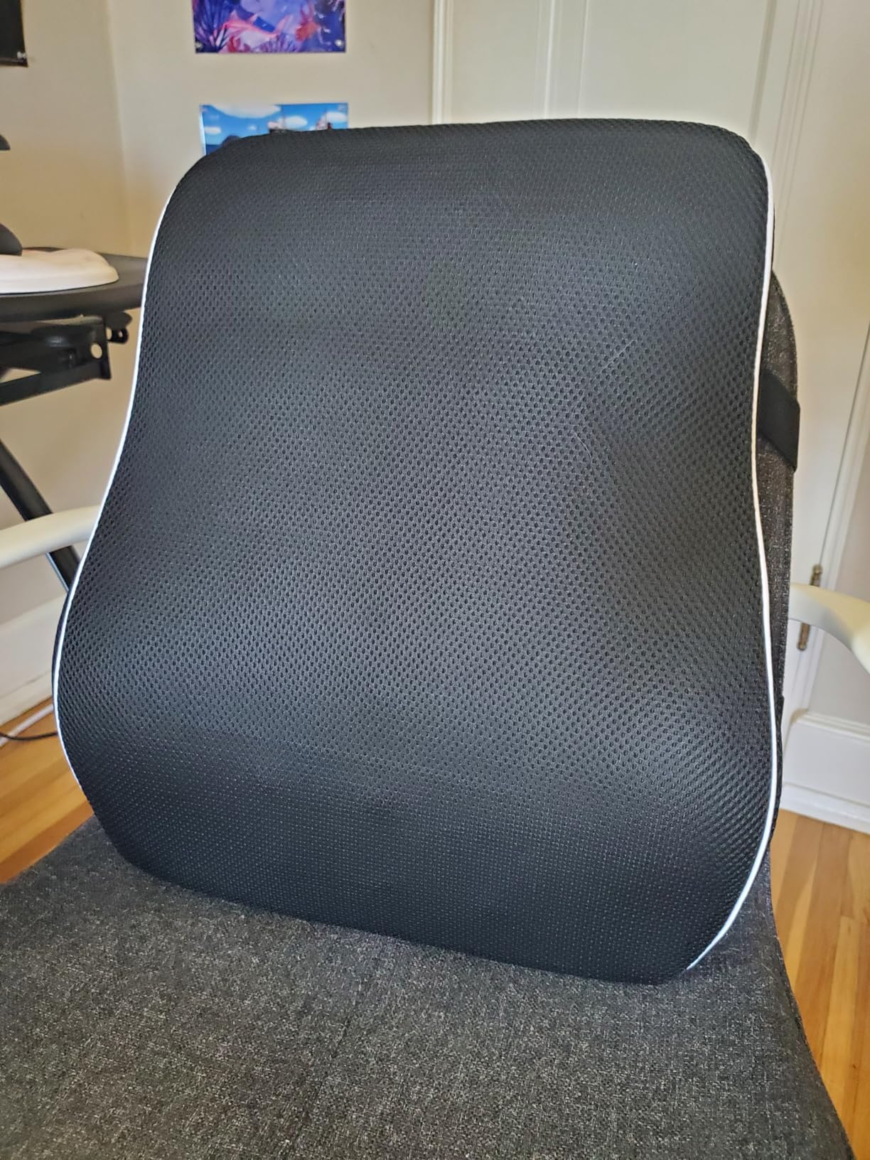 Lumbar Support Pillow for Office Chair, Office Home Essentials, Gifts for Mom, Dad, Back Support Pillow for Car, Chair Cushions, Back Pain Relief Improve Posture, Mesh Cover Double Adjustable Straps customer photo 2