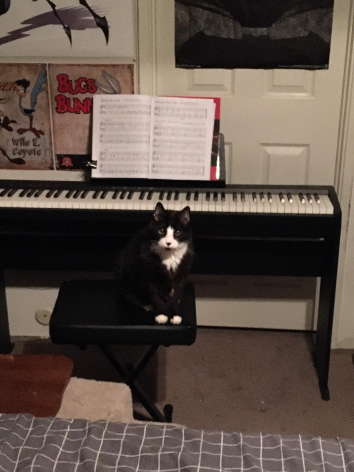 Roland FP-10 Compact 88-Note Digital Piano | SuperNATURAL Piano Tones, PHA-4 Keyboard, Bluetooth & MIDI Connectivity, Great for Beginners & Experienced Players customer photo 2
