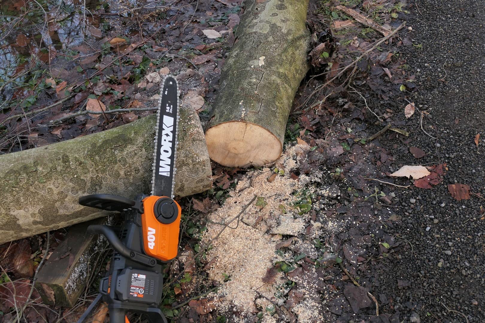 WORX Cordless Chainsaw with Auto-Tension, 40V 14