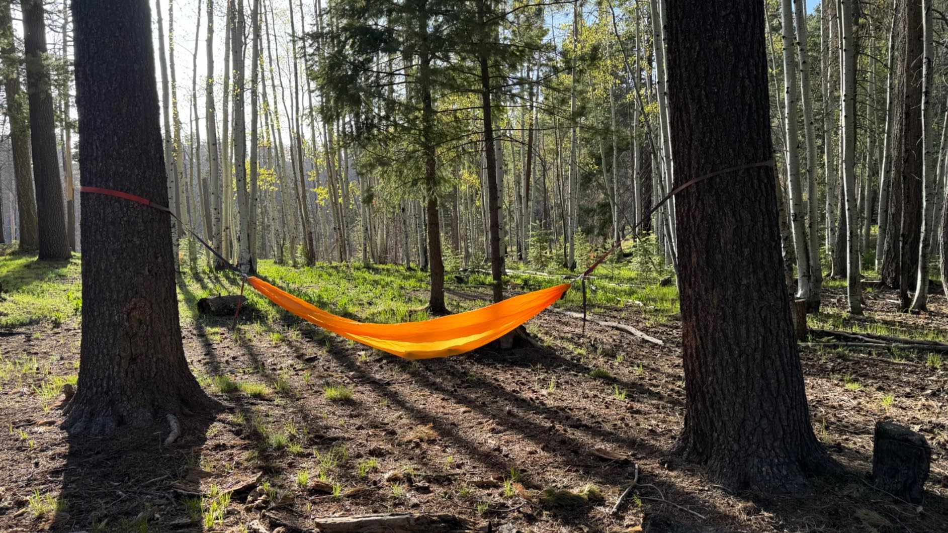 KAMMOK: Roo Single Ultra Light Hammock | Strong & 100% Recycled Fabric | Water Resistant, Ripstop Fabric | Comfortable, Packable, Lightweight (Adventure Grade, Ember Orange) customer photo 2