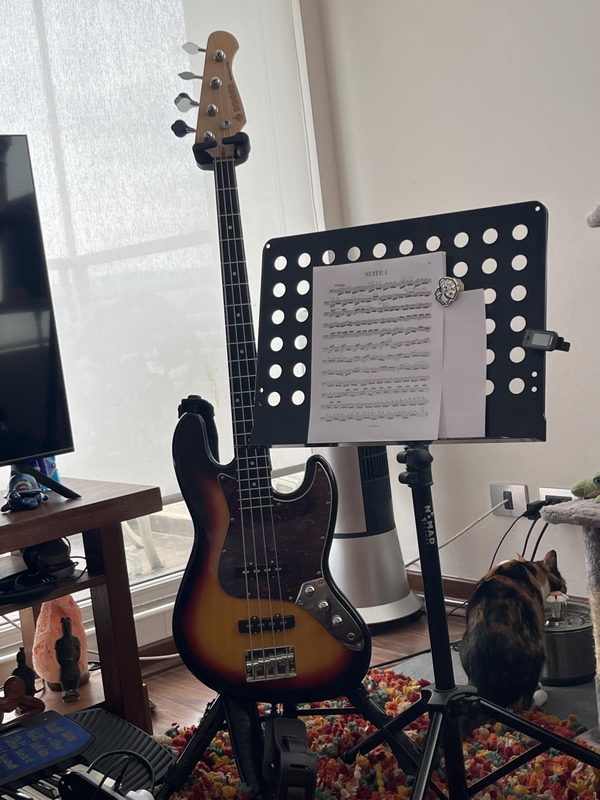Donner Electric Bass Guitar 4 Strings Full-Size Standard Bass PB-Style Beginner Kit Sunburst for Starter with Free Online Lesson Gig Bag Guitar Strap and Guitar Cable, DPB-510S customer photo 1