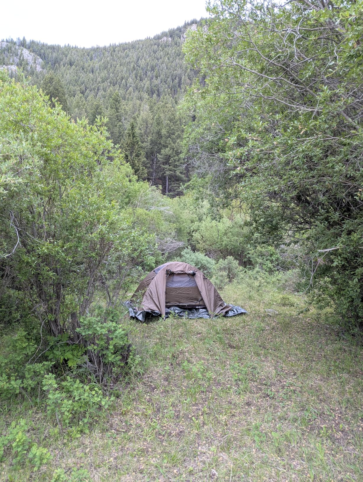 Forceatt Camping Tent 2/3/4 Person, Professional Waterproof & Windproof Lightweight Backpacking Tent Suitable for Outdoor, Hiking, Camping, Mountaineering and Travel customer photo 1