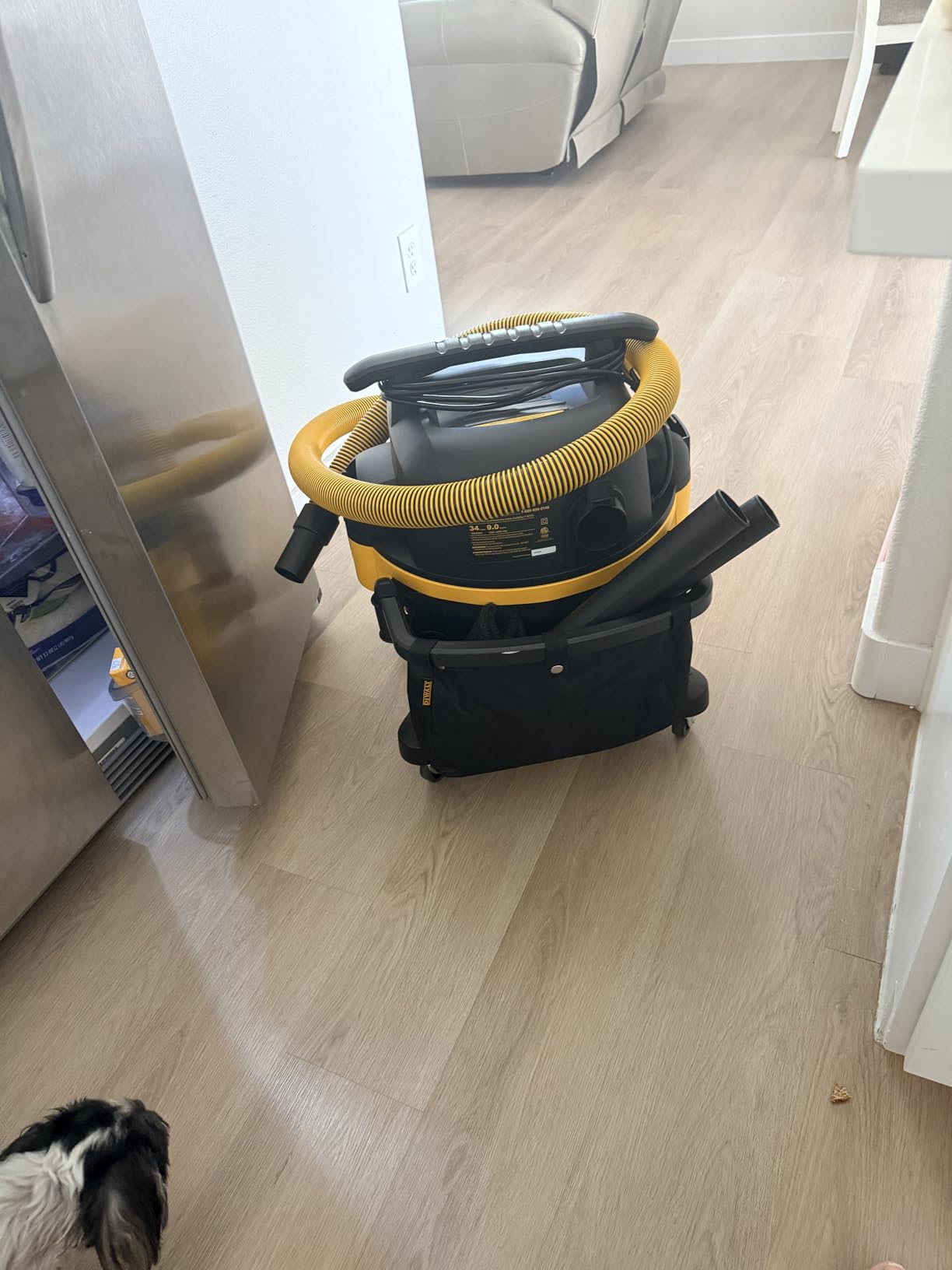 DEWALT 9 Gallon Wet/Dry VAC, Heavy-Duty Shop Vacuum with Attachments, 5 Peak HP DXV09PA customer photo 2