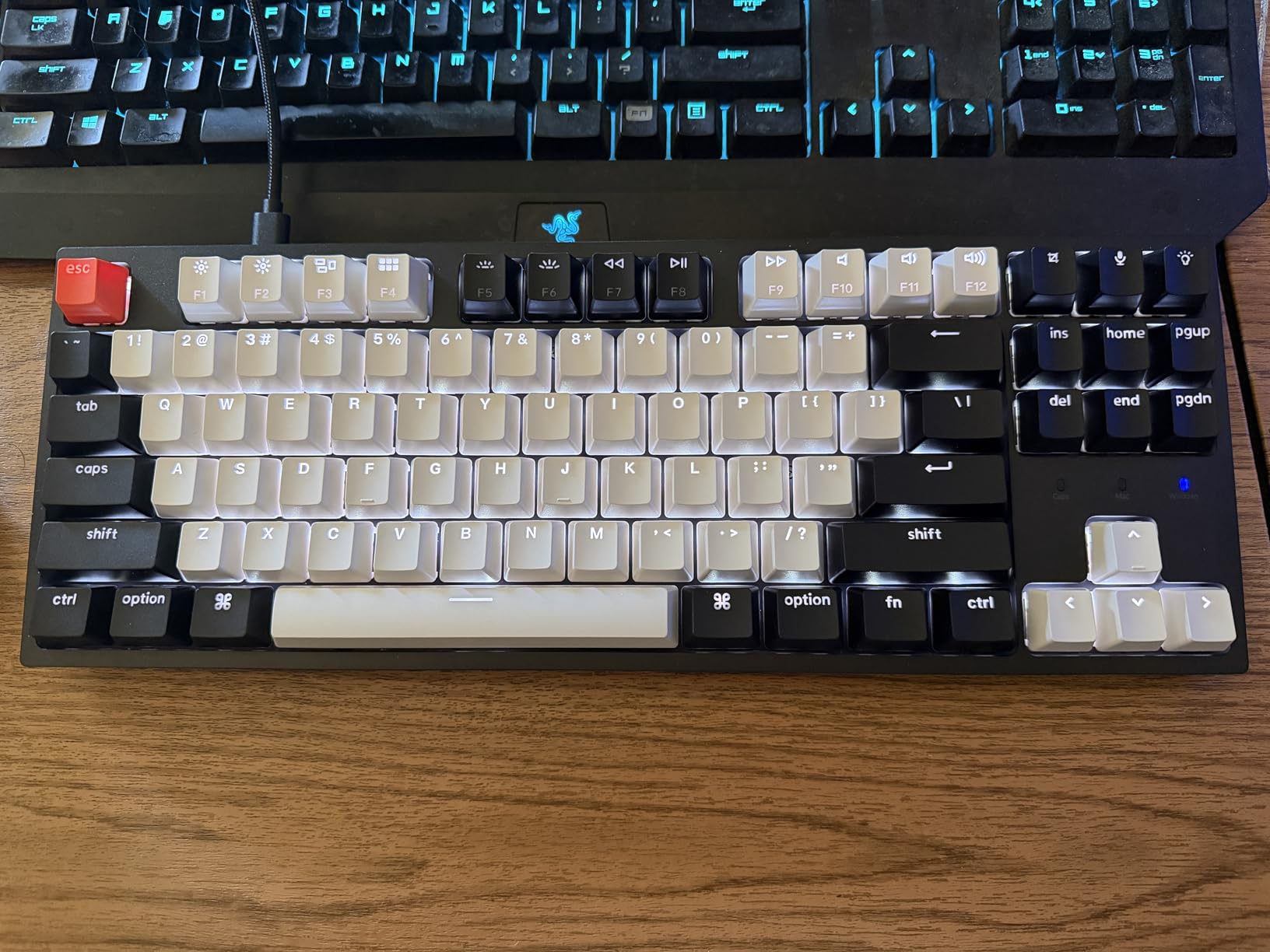 Keychron C1 Wired Mechanical Keyboard, TKL 87-Key Tenkeyless Gaming Keyboard for Mac Windows, Hot-Swappable Gateron G Pro Red Switches, White Backlit, USB-C, Double-Shot ABS Keycaps customer photo 1