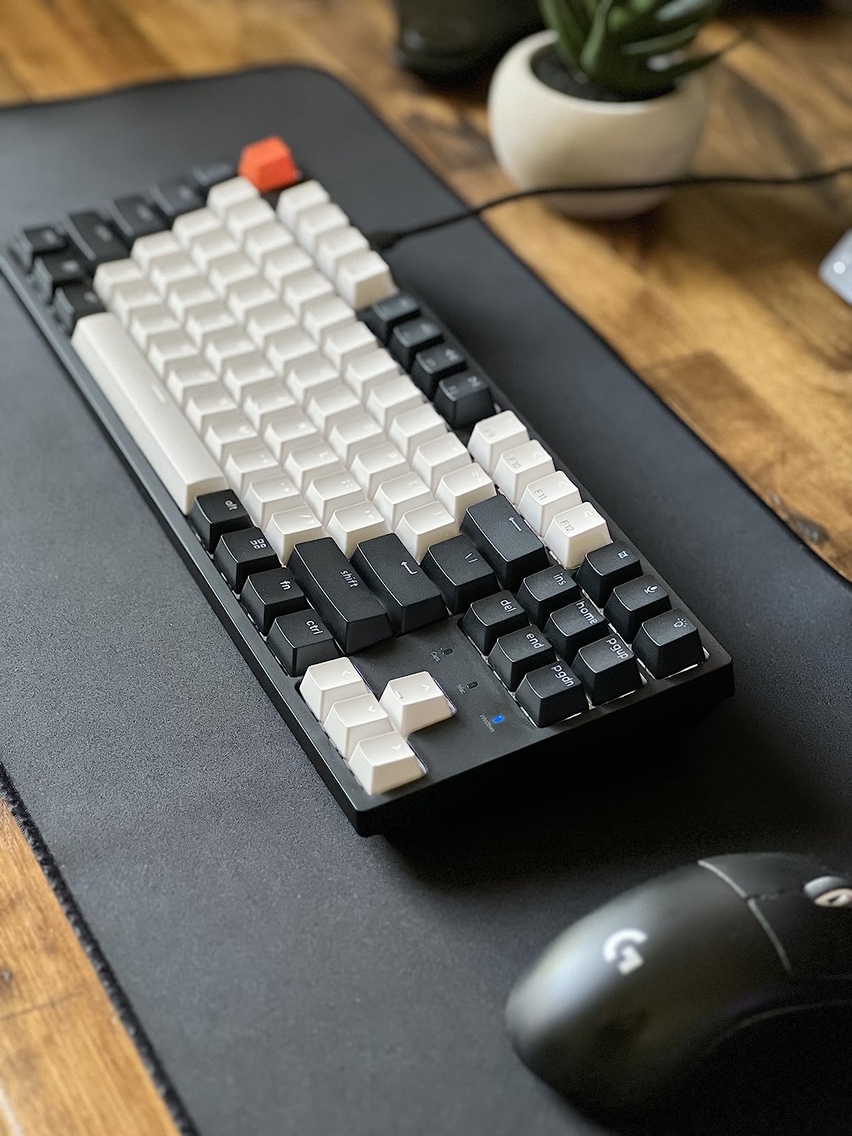 Keychron C1 Wired Mechanical Keyboard, TKL 87-Key Tenkeyless Gaming Keyboard for Mac Windows, Hot-Swappable Gateron G Pro Red Switches, White Backlit, USB-C, Double-Shot ABS Keycaps customer photo 2