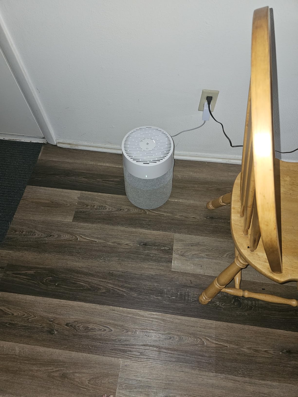 BLUEAIR Blue Pure 511i Max Smart Air Purifier for Bedroom & Small Rooms up to 1,138 Sq Ft, HEPASilent Air Cleaner for Pets, Allergies, Smoke & Dust, Quiet WiFi Air Purifier with Auto Mode customer photo 1