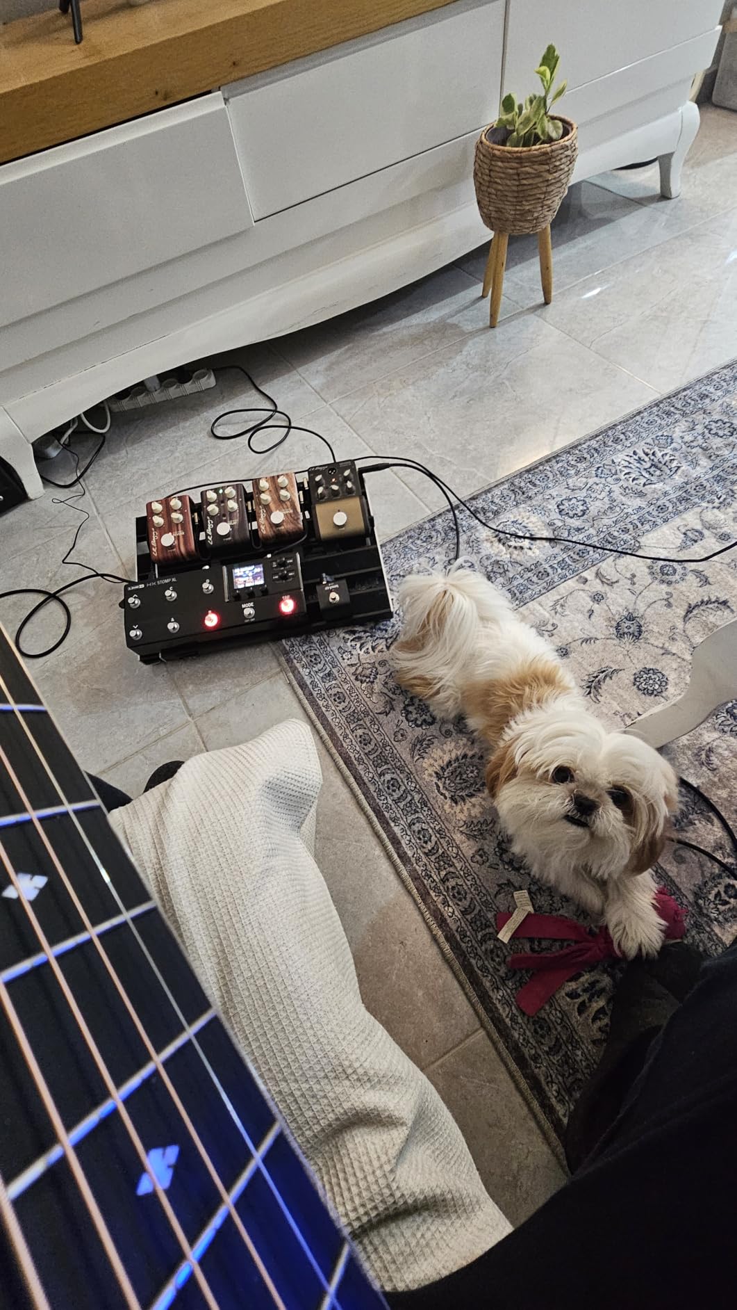 Line 6 HX Stomp XL Multi-Effects Guitar Pedal with 8 Stomp Switches, Helix Effects Engine customer photo 1