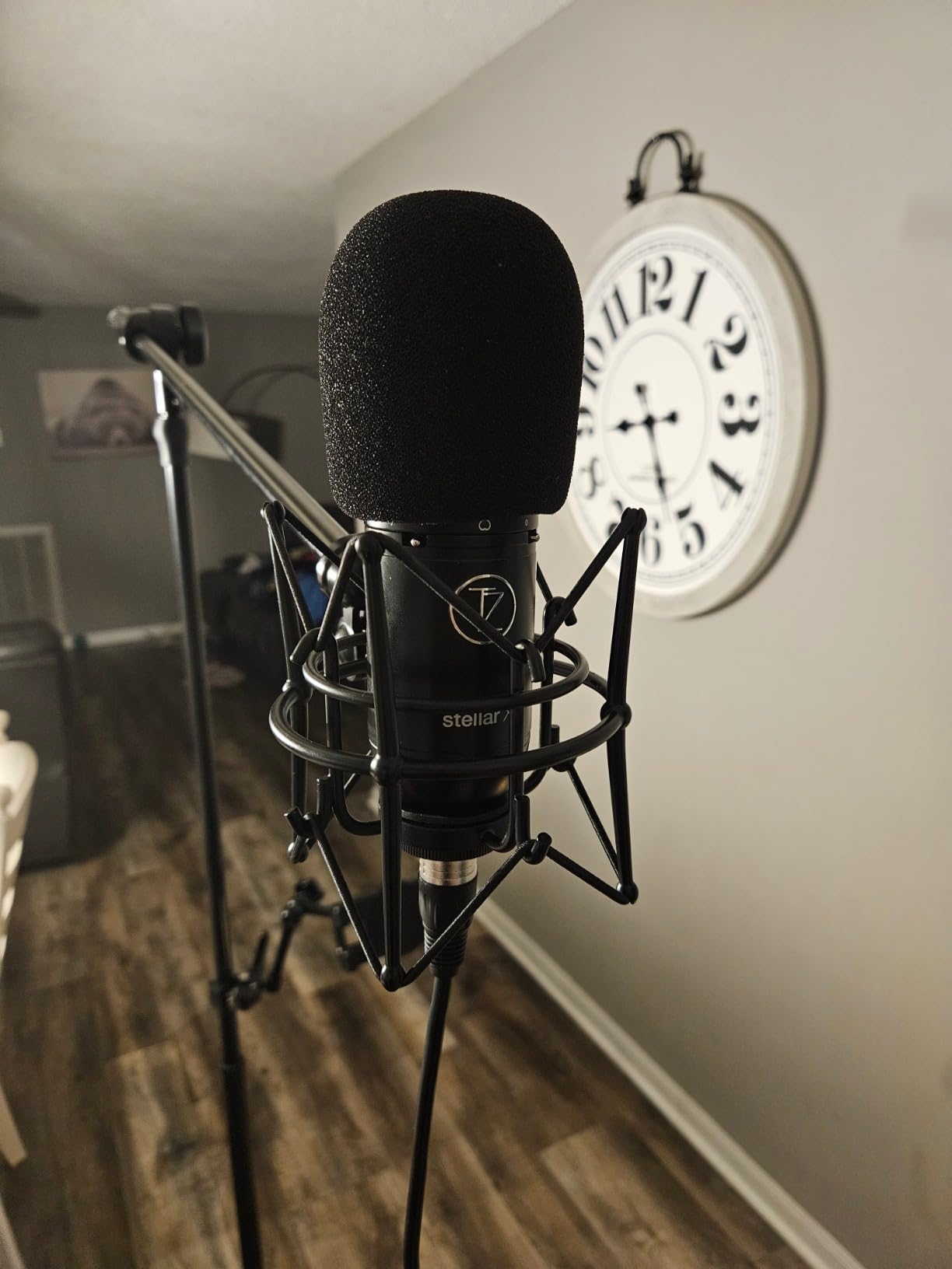 Stellar X3 Large Diaphragm Condenser Microphone customer photo 1
