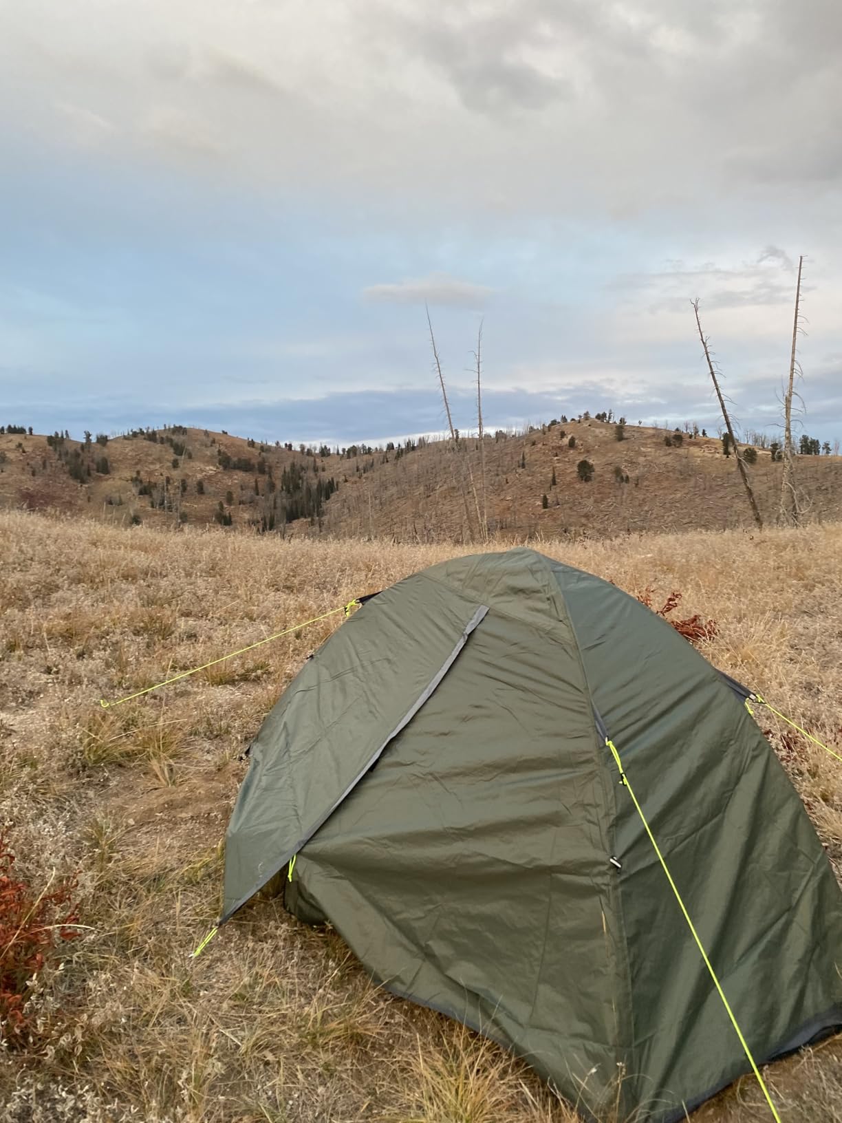 MC TOMOUNT Backpacking Tent 1-2 Person Waterproof Lightweight customer photo 1