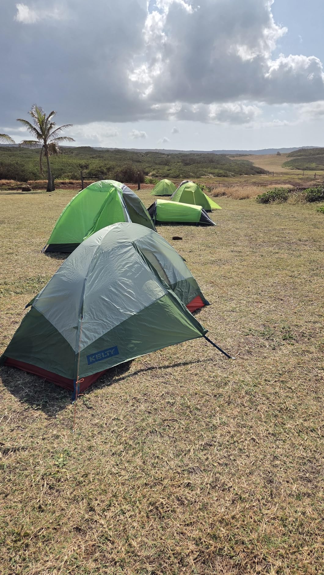 MC TOMOUNT Backpacking Tent 1-2 Person Waterproof Lightweight customer photo 2