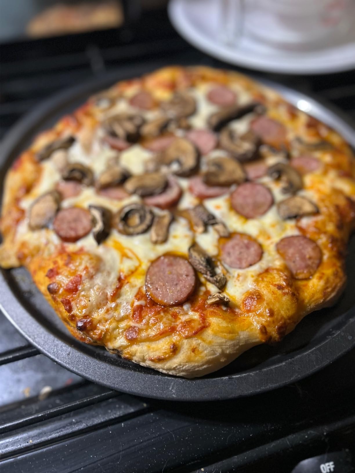 Outdoor Wood-Fired Pizza Oven Patio Pizza Maker for Backyard | Pizza Stone, Pizza Peel, Grill Rack, and Waterproof Cover for Camping customer photo 2