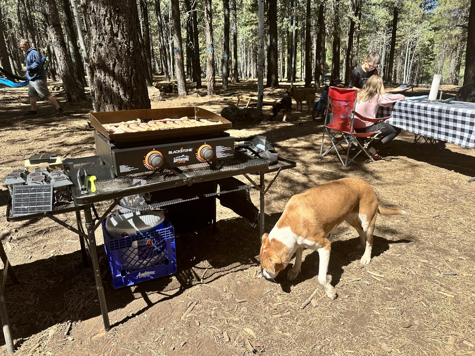 Nice C Folding Grill Table, Camping Tailgate Metal Table, 2 Tier Mesh Grill Station, with Metal Folding Adjustable Height&Width, Mesh Net, Carry Handle, for Outdoor customer photo 2