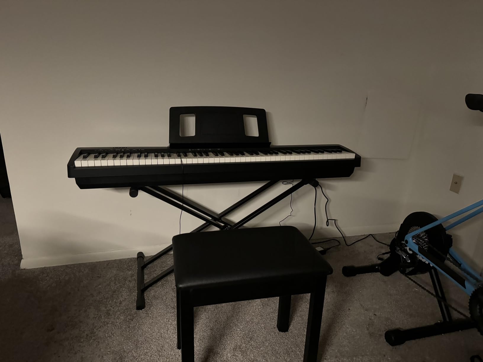 Roland FP-10 88-Key Digital Piano - Black Bundle with Adjustable Stand, Bench, Sustain Pedal, Instructional Book, Online Lessons, Instructional DVD, and Austin Bazaar Polishing Cloth customer photo 2