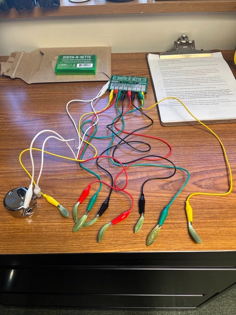 Synth-a-Sette: The Original Cassette Sized Analog Synthesizer | Play Melodies On The Go With This Pocket Synth customer photo 1