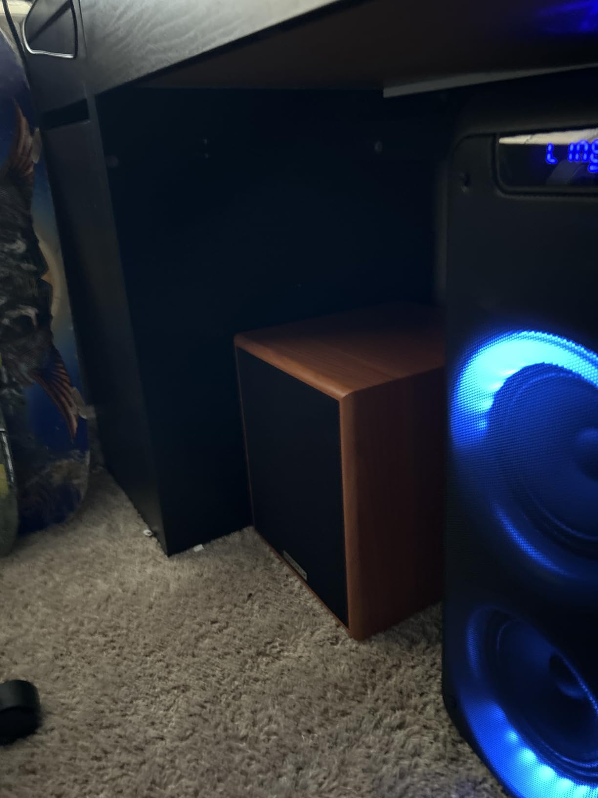 Rock Shaker 6.5 Black 200W Peak/100W RMS Powered Home Theater Subwoofer, Class-D, Adjustable Crossover, 20Hz-200Hz, Compact Design, for Movies and Music customer photo 2