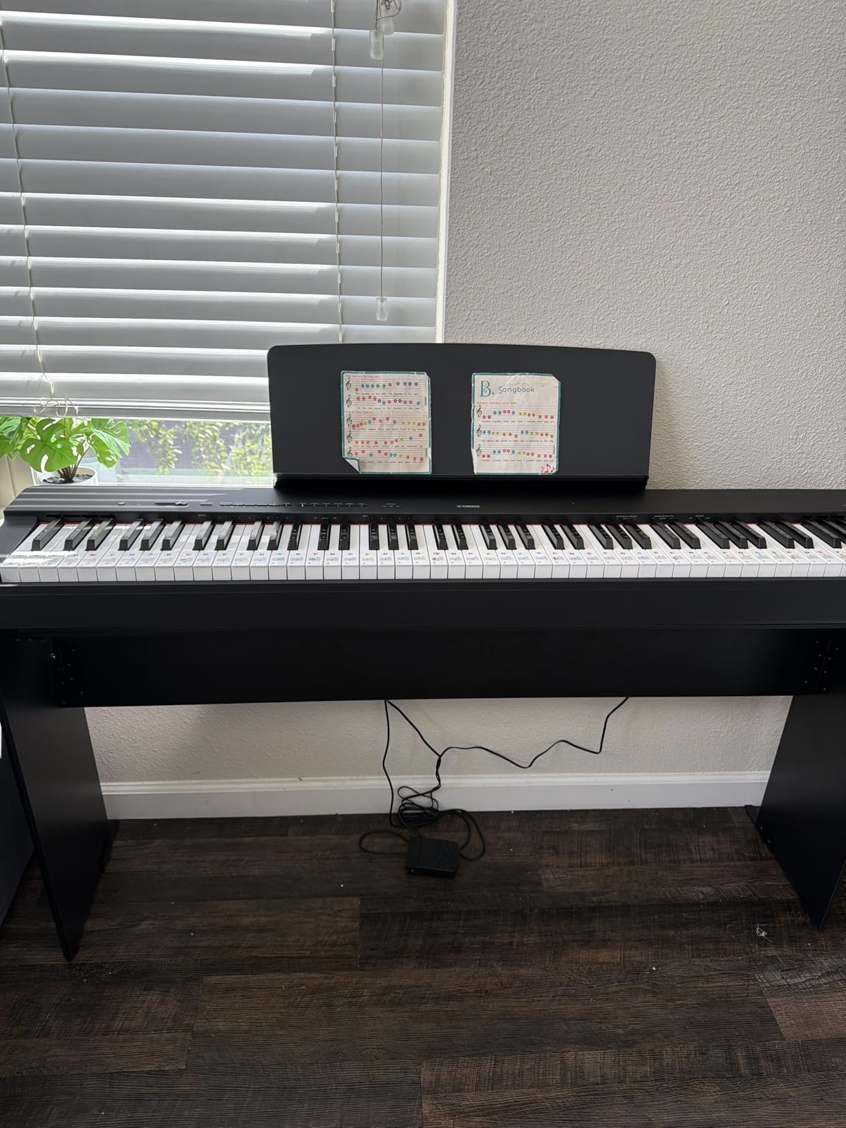 Yamaha P225 88-Key Digital Piano with Weighted Keys, Portable Design, Built-In Speakers, Yamaha CFX Tones, 192-Note Polyphony, Includes Music Rest and Sustain Switch (Black) customer photo 2