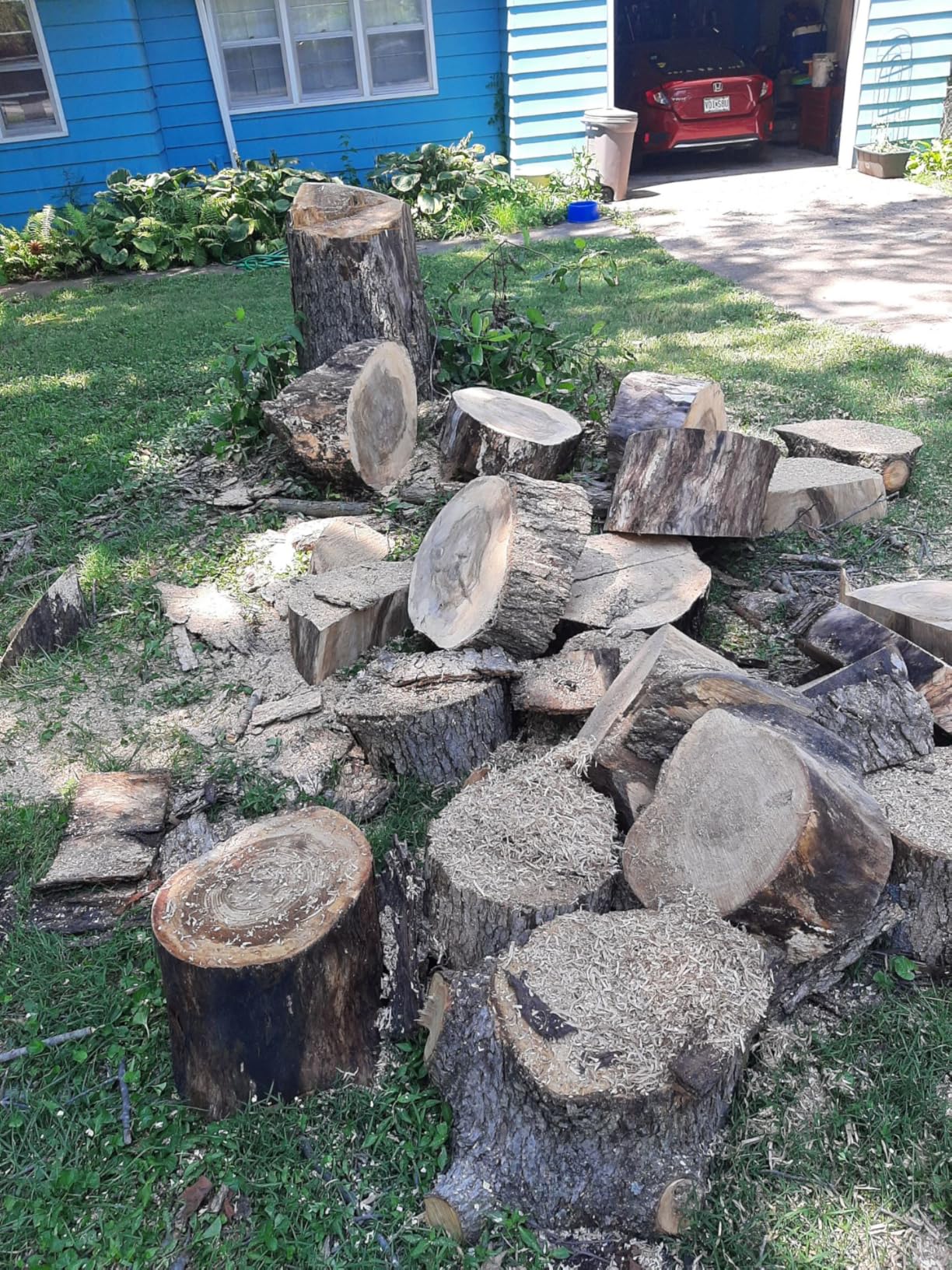 Greenworks 60V 18 in Cordless Electric Chainsaw, 4.0 Ah Battery and Charger customer photo 2