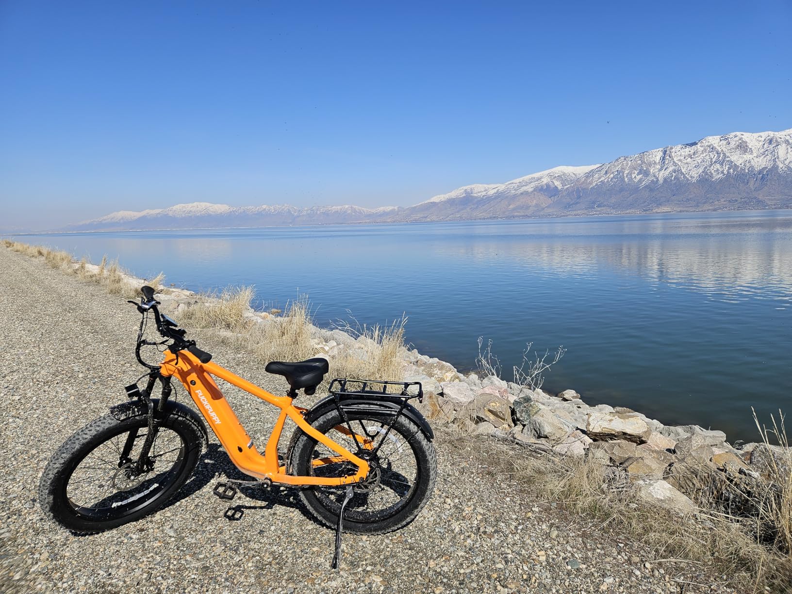 PUCKIPUPPY Electric Bike for Adults with 960W(Peak), 26