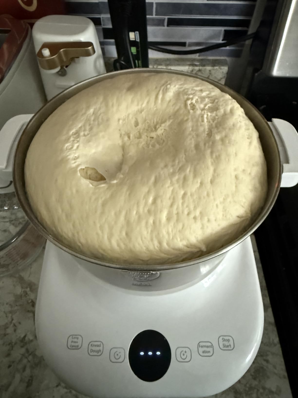 AIZIYO DoughChief, 7.4QT Dough Mixer, Dough Maker with Ferment Function, Bread Maker with 304 Stainless Steel Bowl, Removeable lid, Touch Panel Control, Proofing Box for Pizza & Bread customer photo 1