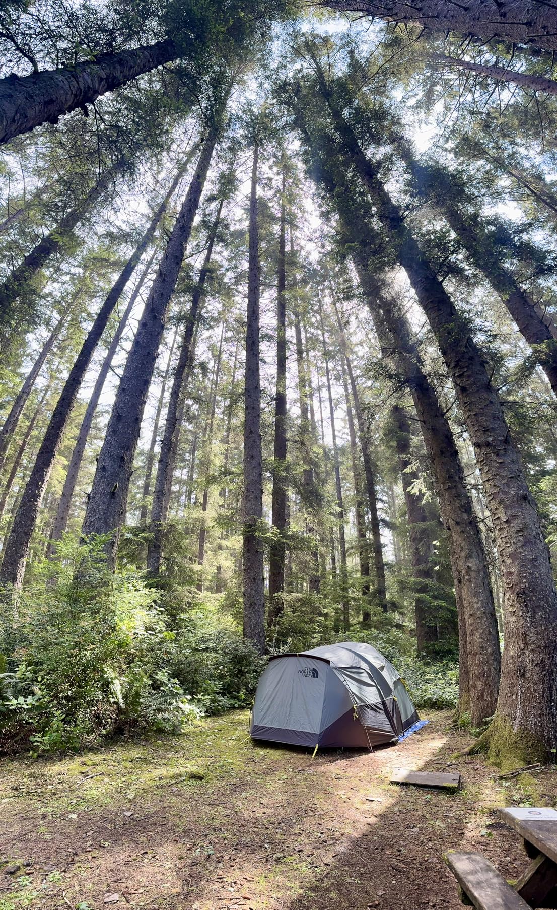 The North Face Tents Wawona 6 Tent | Six-Person Camping Tent, Water Repellent, Spacious & Easy to Set Up, Attached Vestibule Area customer photo 1