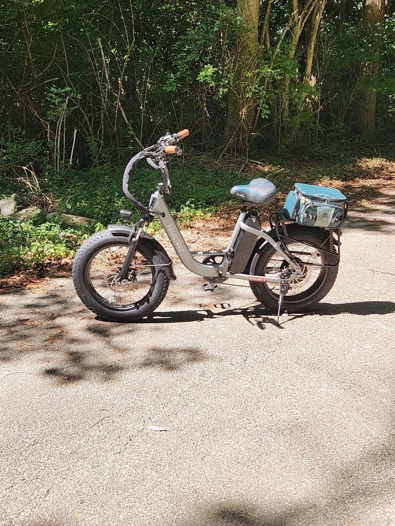 Electric Bike for Adults with Peak 1500W Motor, 48V 20Ah Removable Battery Fast Ebike,Max 70Miles,20