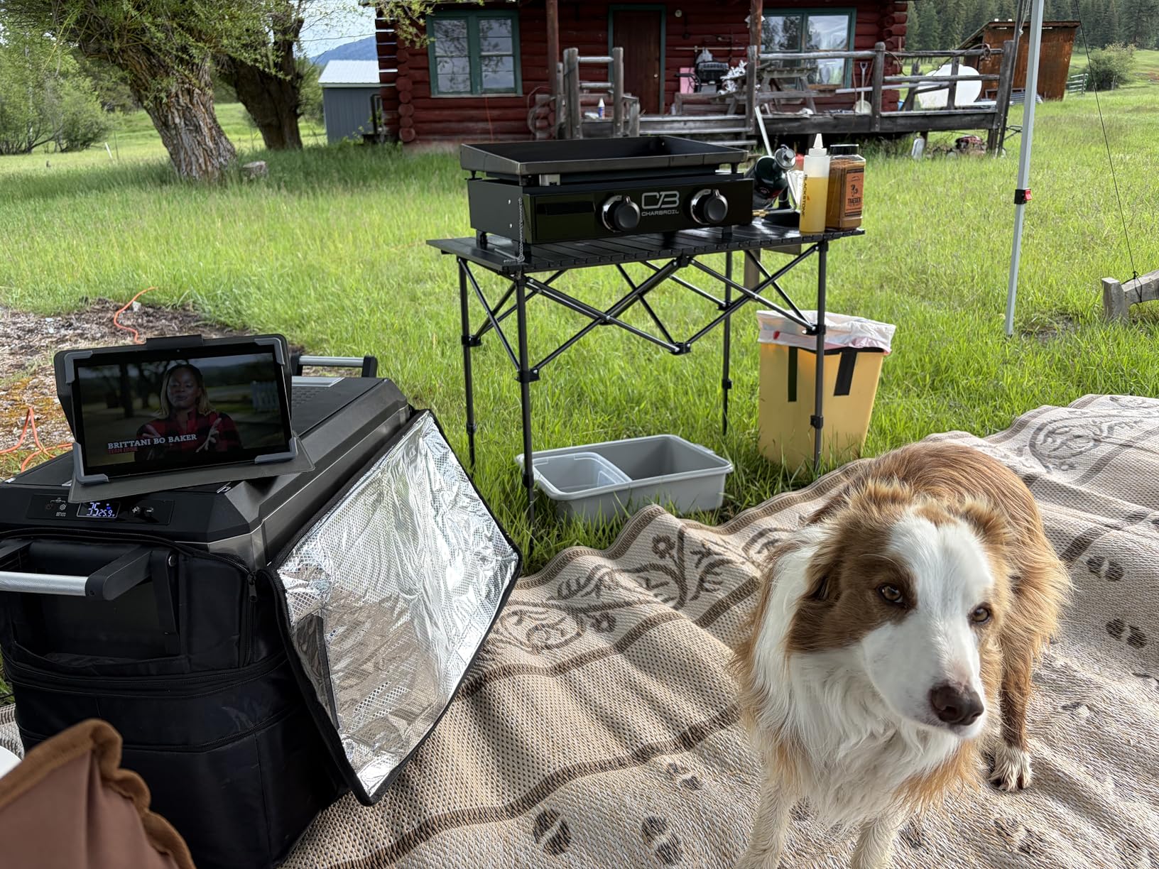 Folding Camping Table, Portable Aluminum Adjustable Height, Black - Roll-Up Camp Lightweight Table with Carry Bag, 9 lb Weight, 21.7 to 29.5 inch Height, Outdoor for Camping, Picnic and BBQ customer photo 1