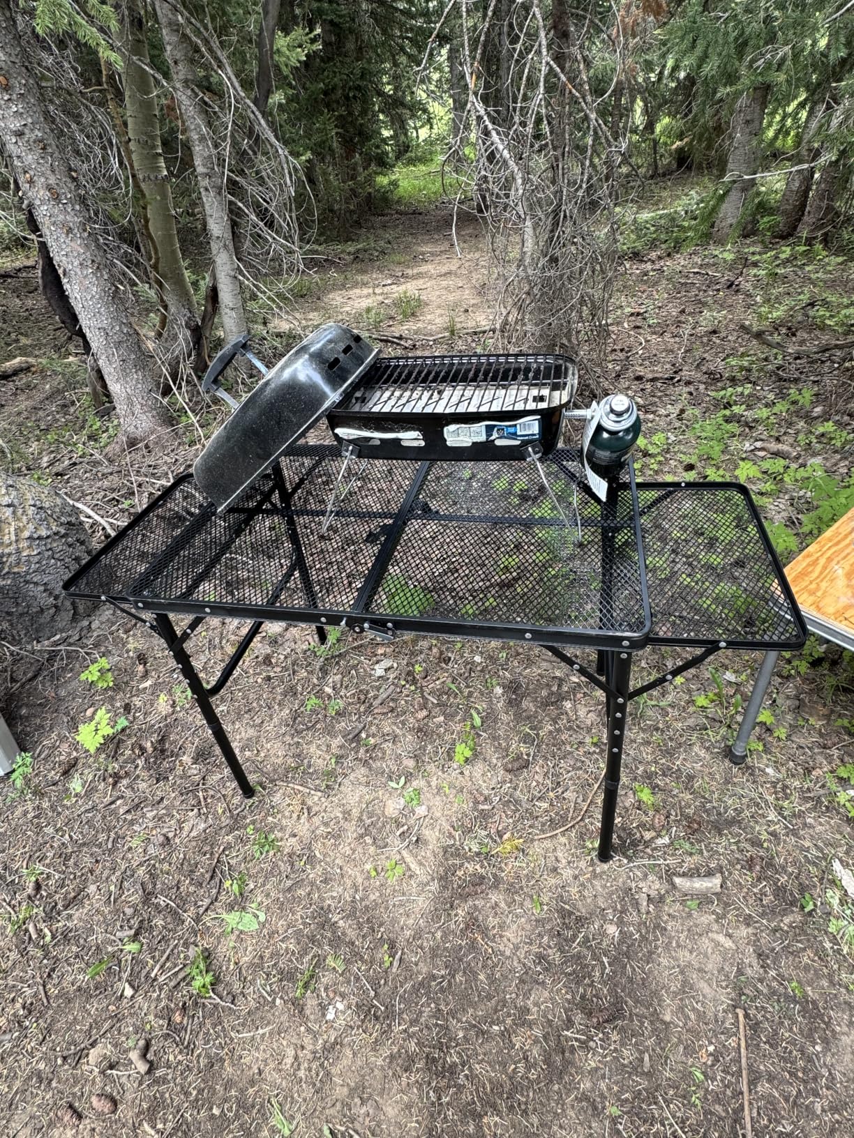 Folding Table w/ Carry Bag, Paper Towel Holder, Garbage Holder, Wing Panels, 3x2 FT Foldable Table for Portable Grill, Picnic, Outdoor, Beach, Small Folding Table Adjustable Height,Camping Table, BBQ customer photo 2