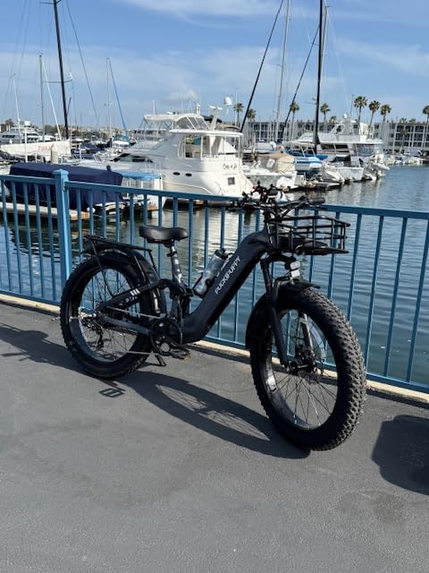 Ebike+A Luxury Accessory Pack, Electric Bike for Adults 500W, 48V 20AH Battery Adult Electric Bicycles, 26