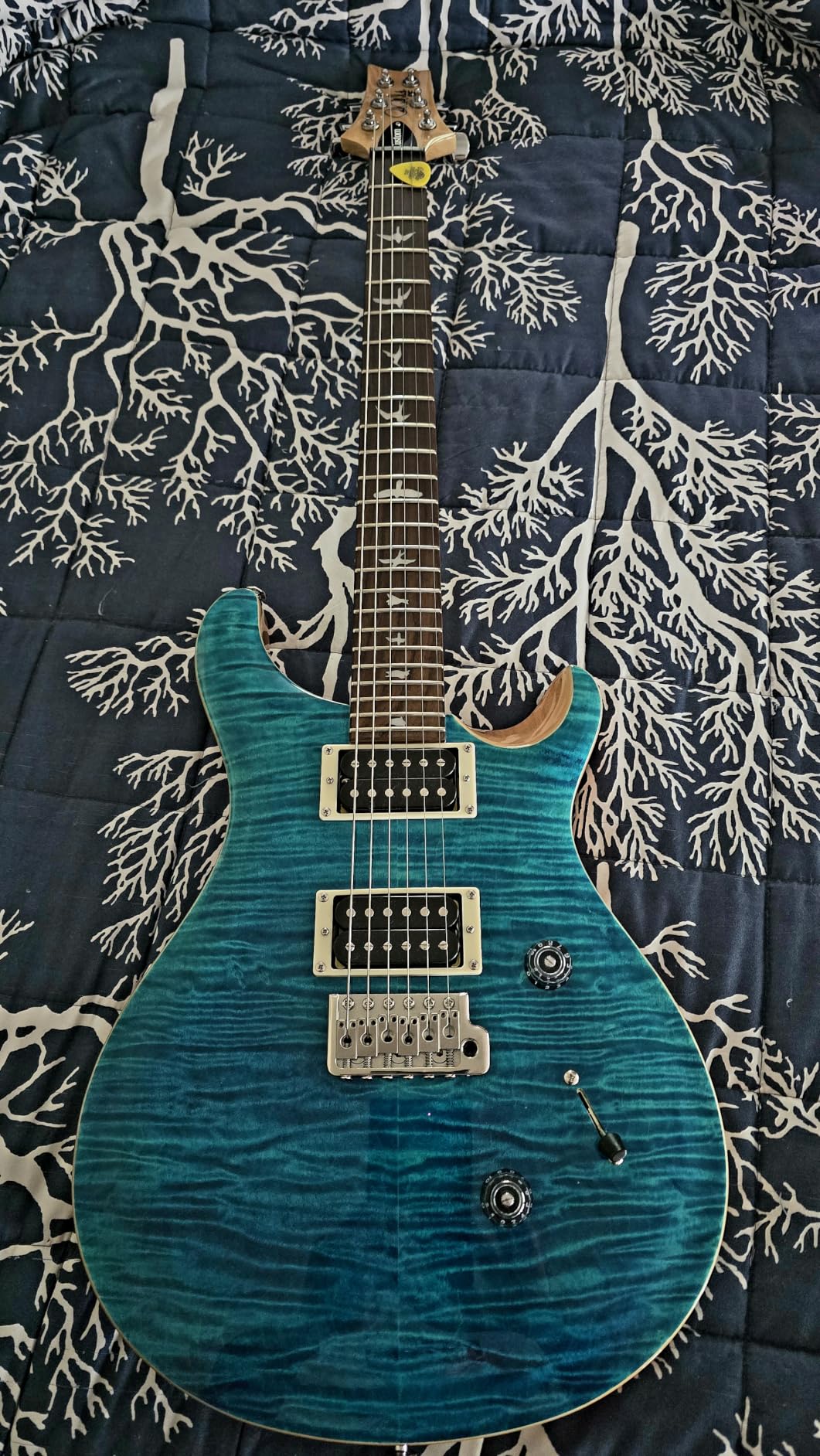 PRS SE Custom 24 Exclusive Electric Guitar, Blue Matteo Natural Back customer photo 2