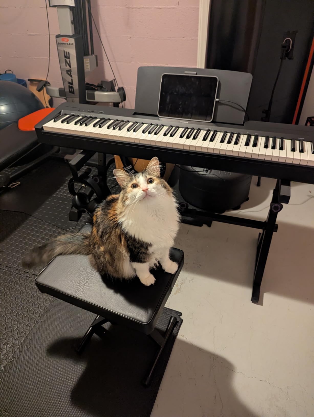 Yamaha 88-Key Digital Piano with Weighted Keys, Compact Design, Bluetooth, Built-in Speakers for Home Practice or Travel (P145BT) customer photo 1