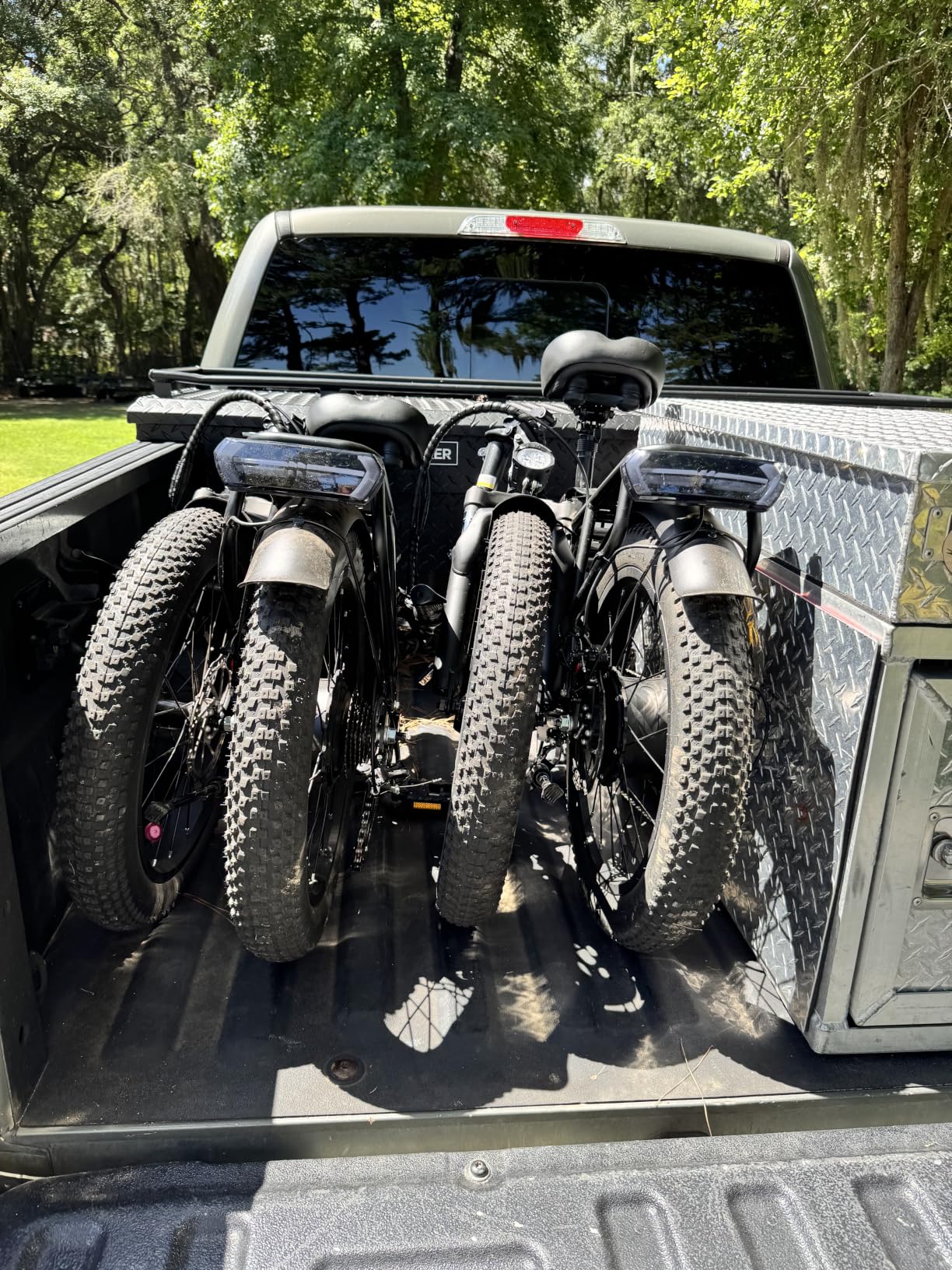 1000W Folding Electric Bike, 48V 20AH Large Removable Battery E Bike, 80 Miles Max Range, 20