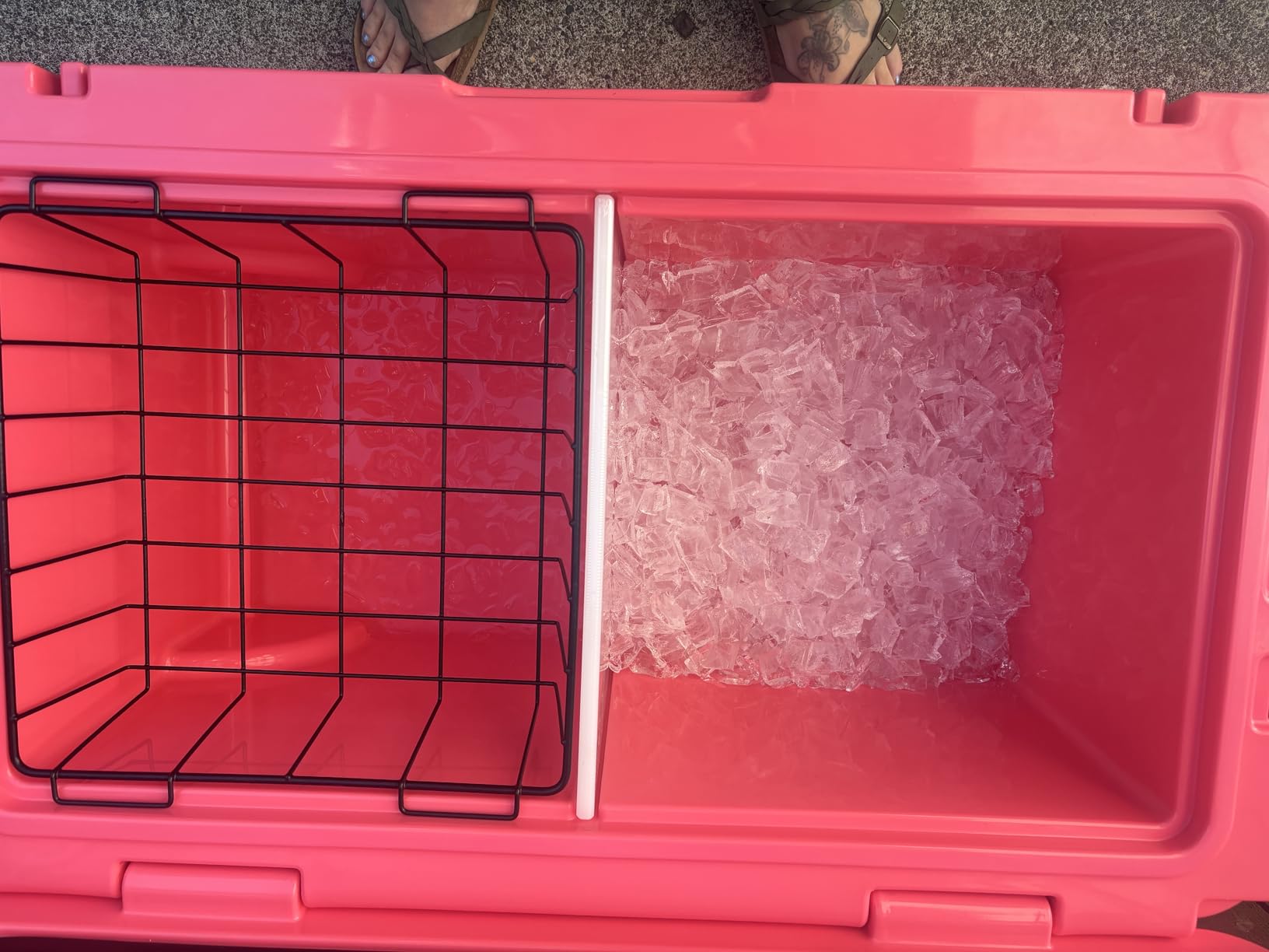 Hogg Rotomolded Coolers, Ice Chest with Wheels, Wheeled Cooler, Rotomolded Ice Chest, Dry Storage, Fishing and Camping Items, Birthday Gifts for Men customer photo 1