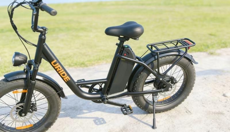 Electric Bike for Adult, 20