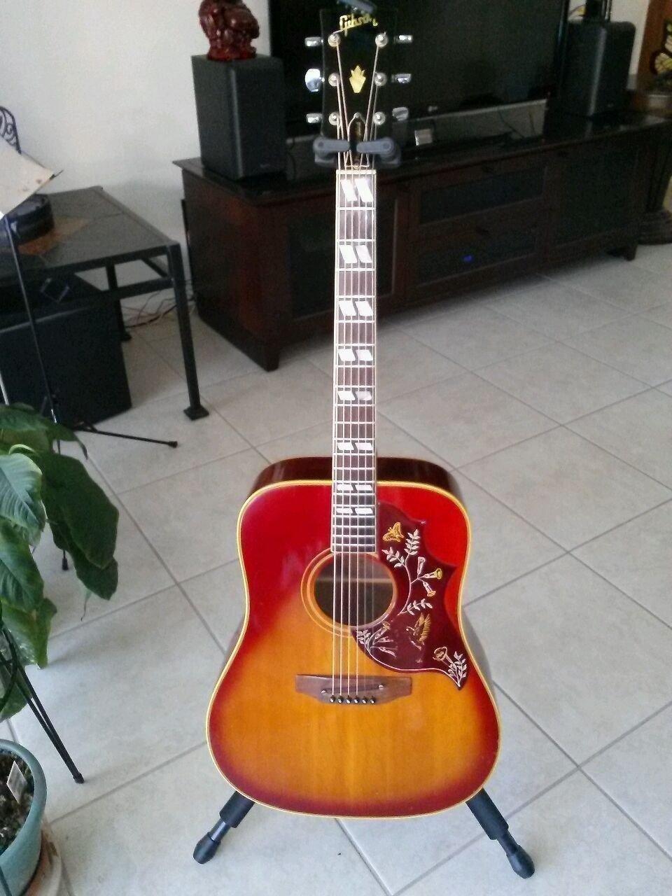 D'Addario Acoustic Guitar Soundhole Humidifier customer photo 1