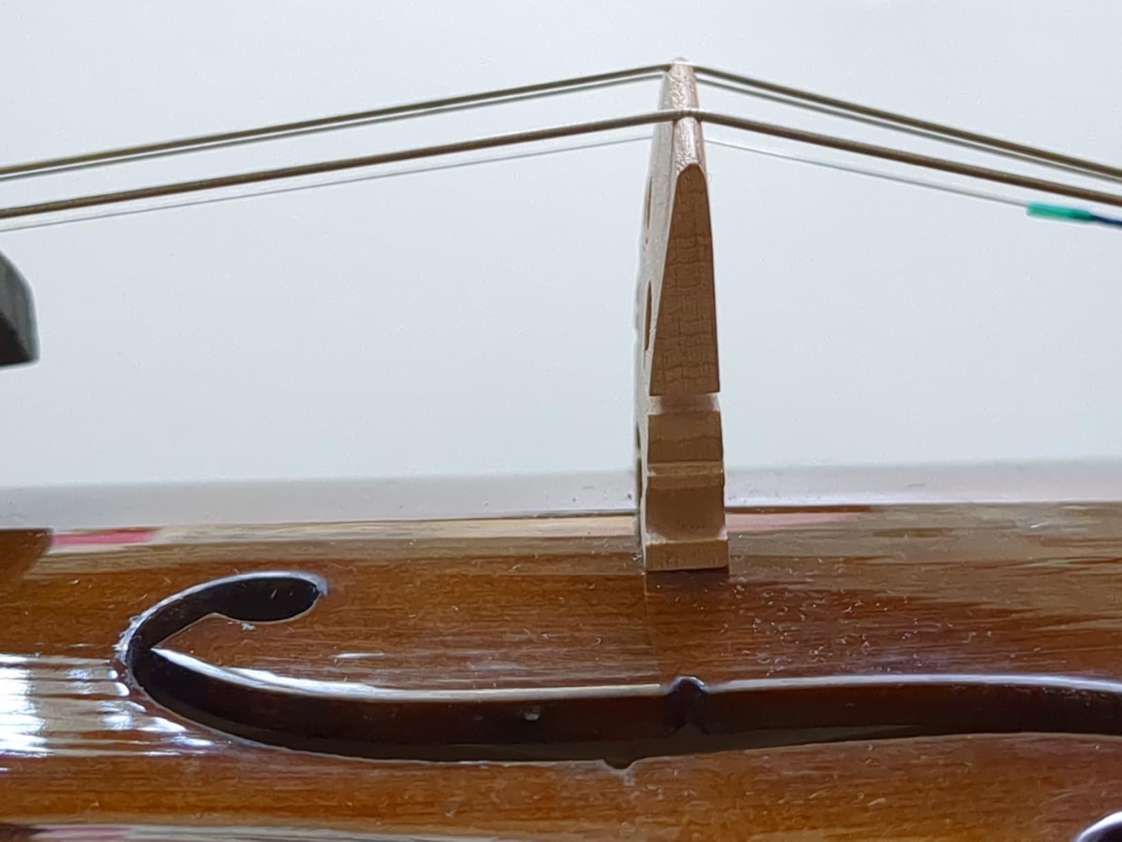 Cremona SV-175 4/4 Premier Student Violin Outfit – Solid Spruce Top, Maple Back, Ebony Fittings, Prelude Strings, Case & Bow for Beginner & Advancing Students customer photo 1