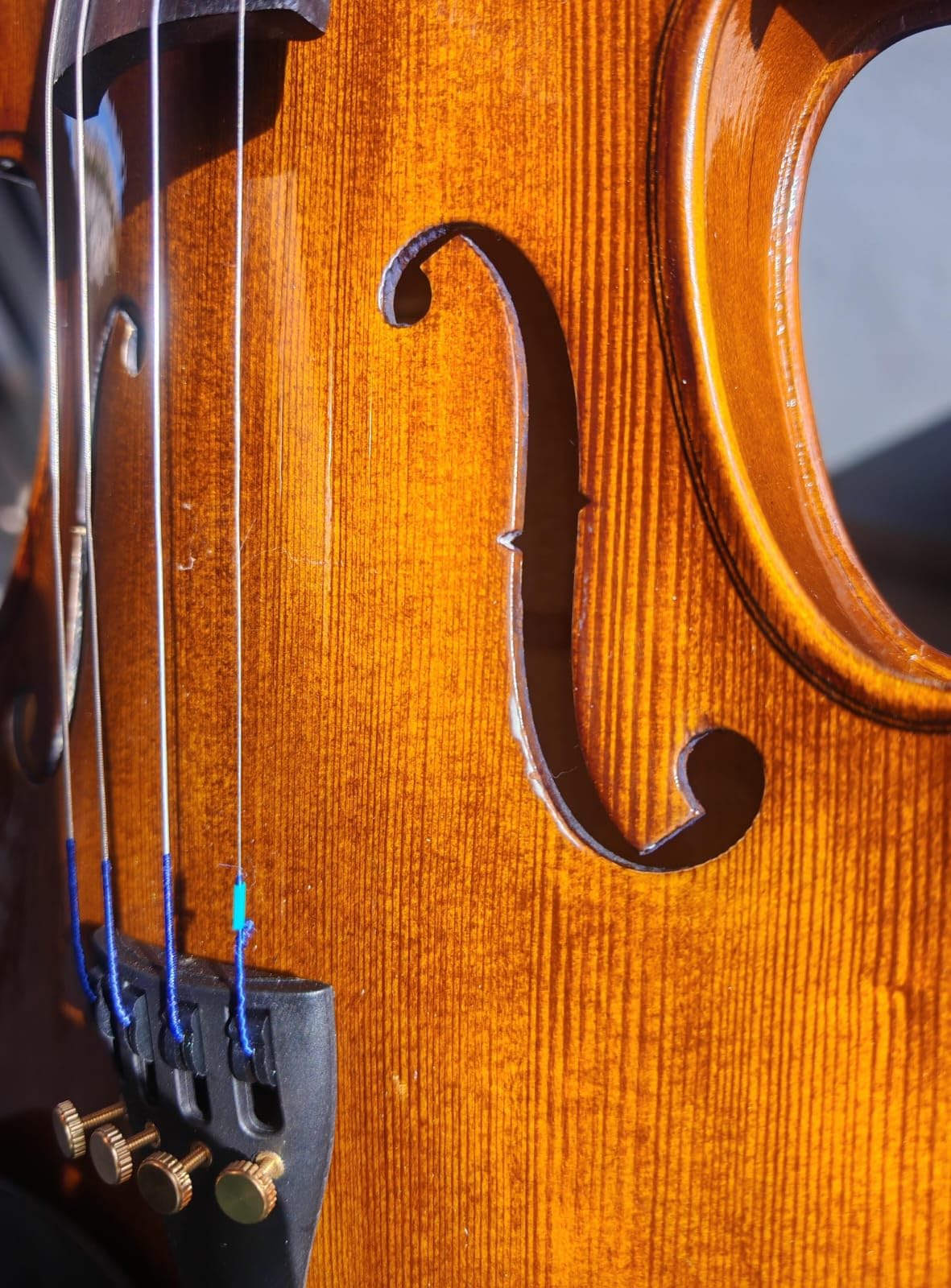 Cremona SV-175 4/4 Premier Student Violin Outfit – Solid Spruce Top, Maple Back, Ebony Fittings, Prelude Strings, Case & Bow for Beginner & Advancing Students customer photo 2