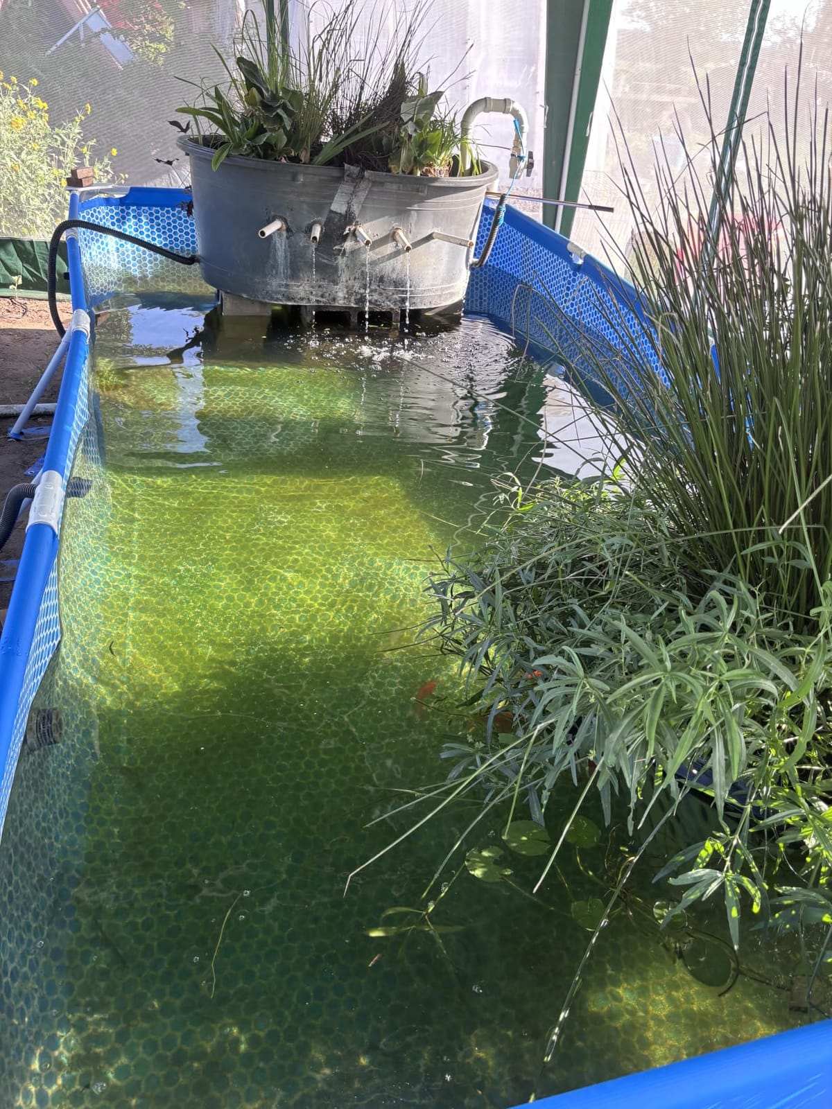 INTEX Metal Frame 9ft 10in x 6ft 6.75in x 29.5in Above Ground Swimming Pool | 28272EH - Pool Only (Pump Not Included) customer photo 1