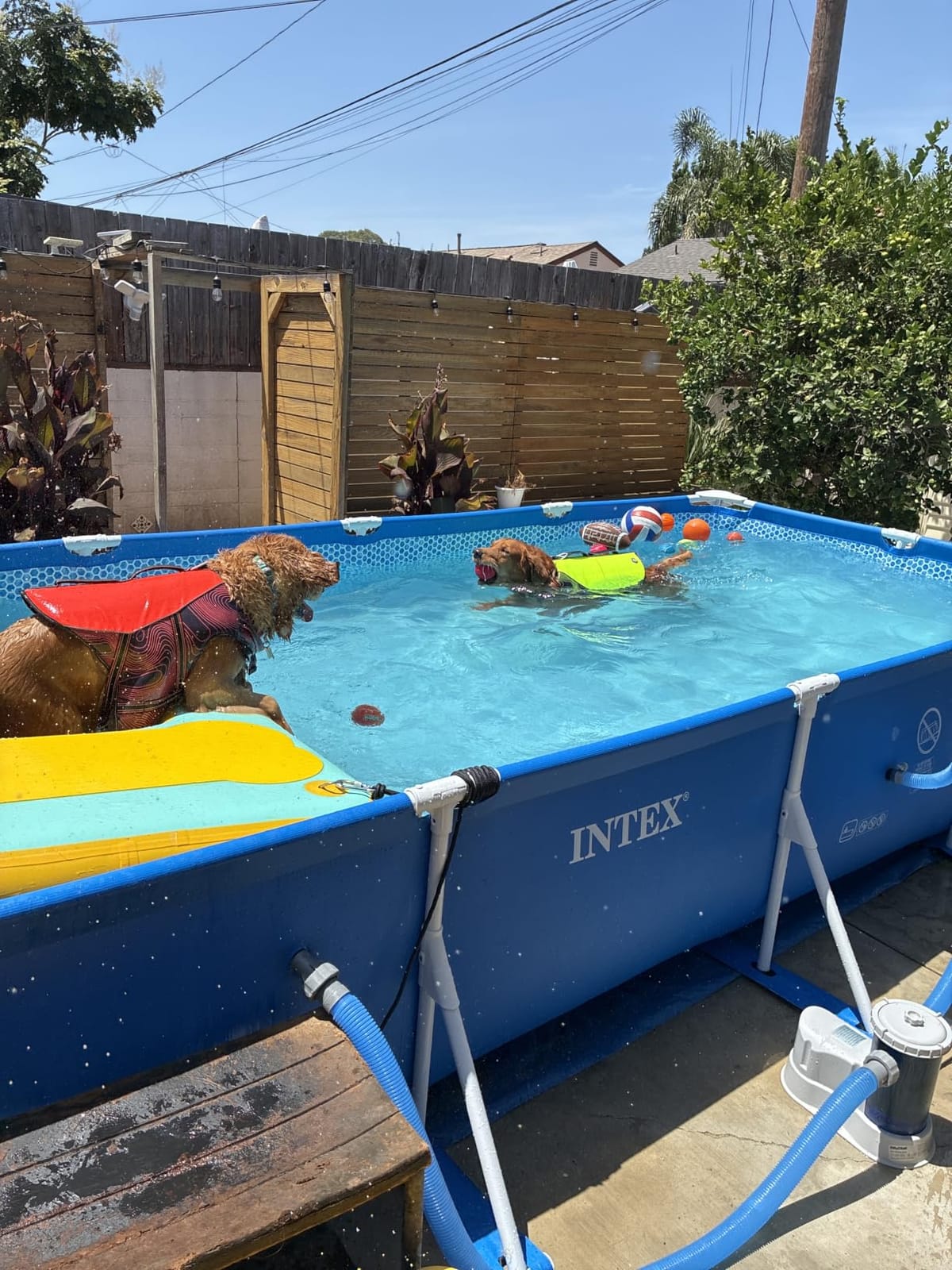 INTEX Metal Frame 9ft 10in x 6ft 6.75in x 29.5in Above Ground Swimming Pool | 28272EH - Pool Only (Pump Not Included) customer photo 2