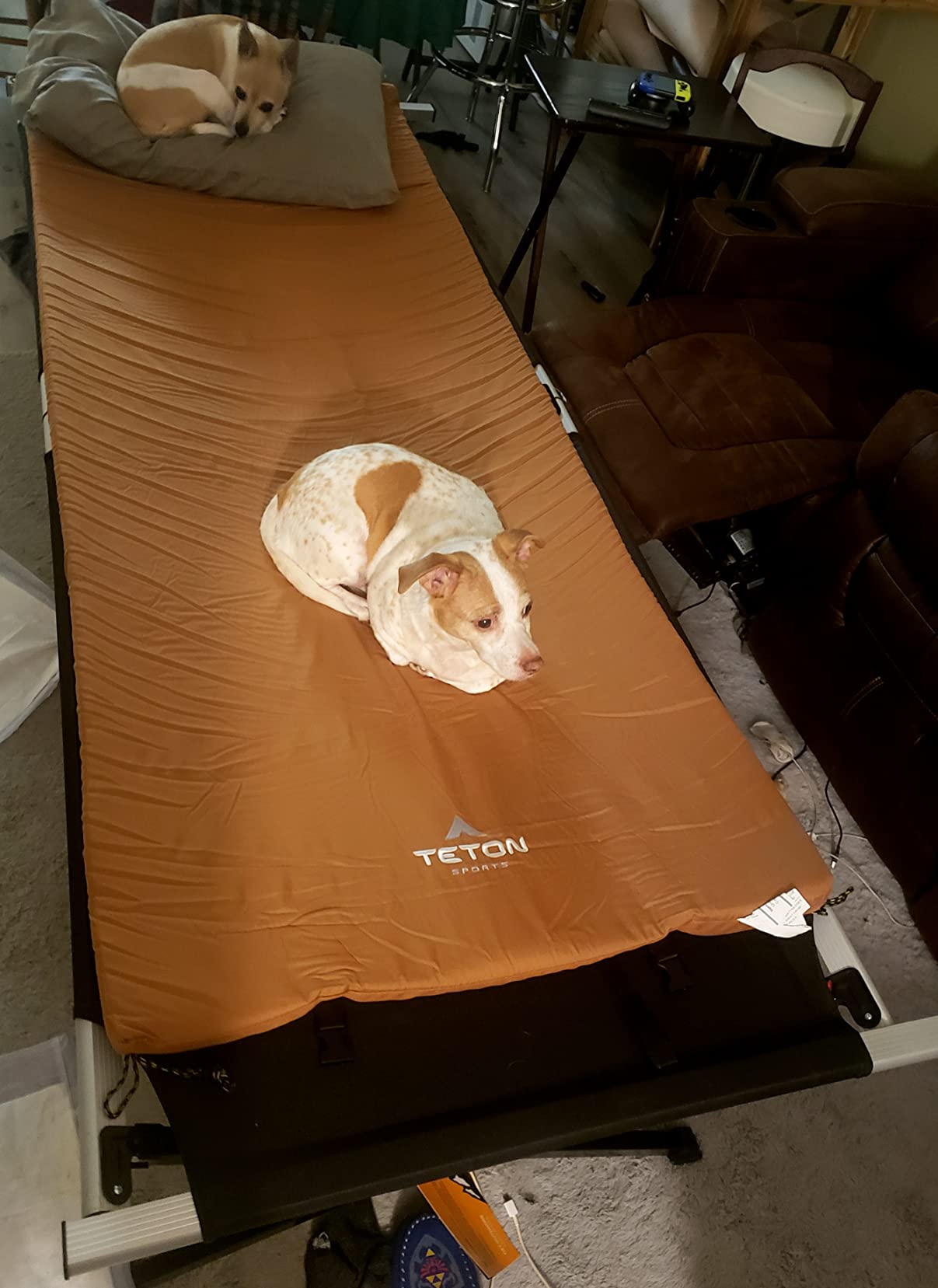 Teton Outfitter XL Sleeping Pad for Cot, Extra Thick Comfortable Camping Mattress for Adults, Portable Roll-Up Camp Pad, Durable Foam Cushioning customer photo 2