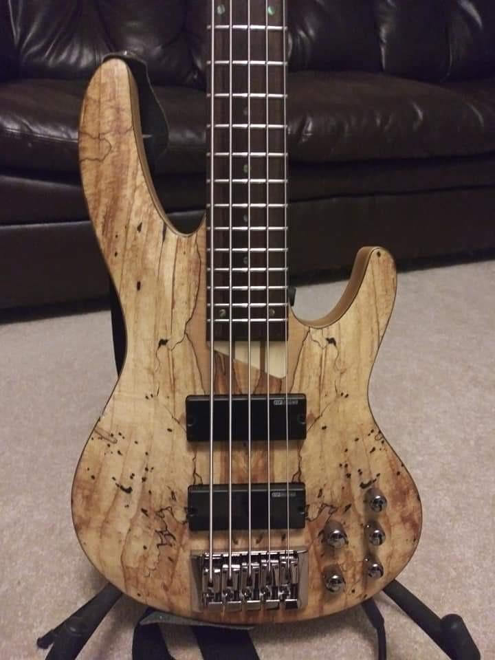 ESP LTD B-205 5-String Bass Guitar - Natural Satin customer photo 1