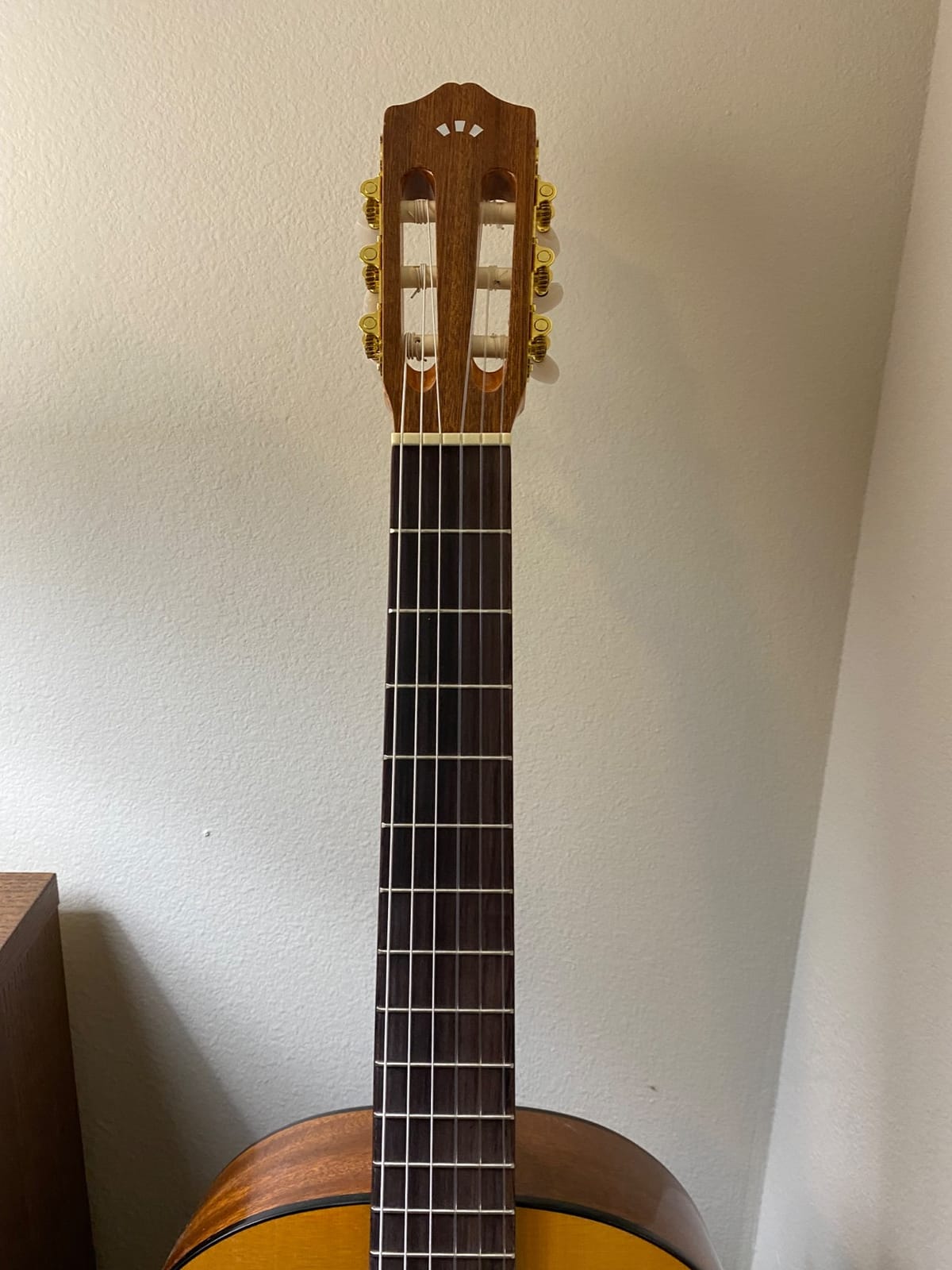 Cordoba C1 Nylon String Acoustic Guitar customer photo 2