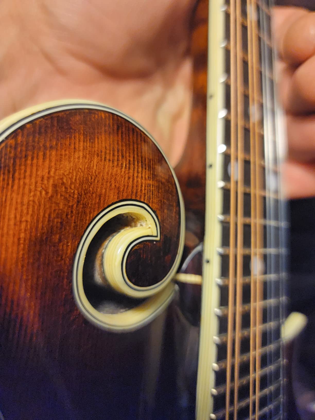 Eastman Guitars MD515 F-style Mandolin - Classic customer photo 1