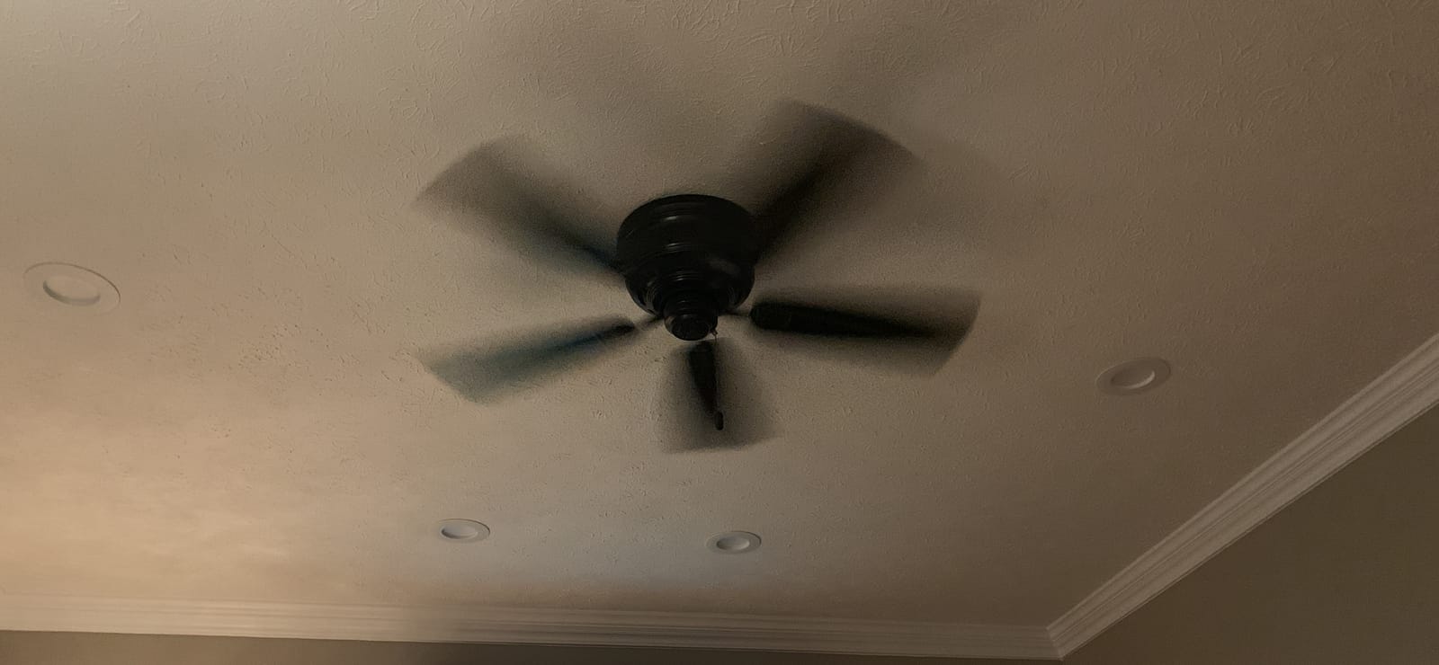 Hunter Sea Wind, Outdoor or Indoor, Ceiling Fan, No Light, 48 inch, White customer photo 1