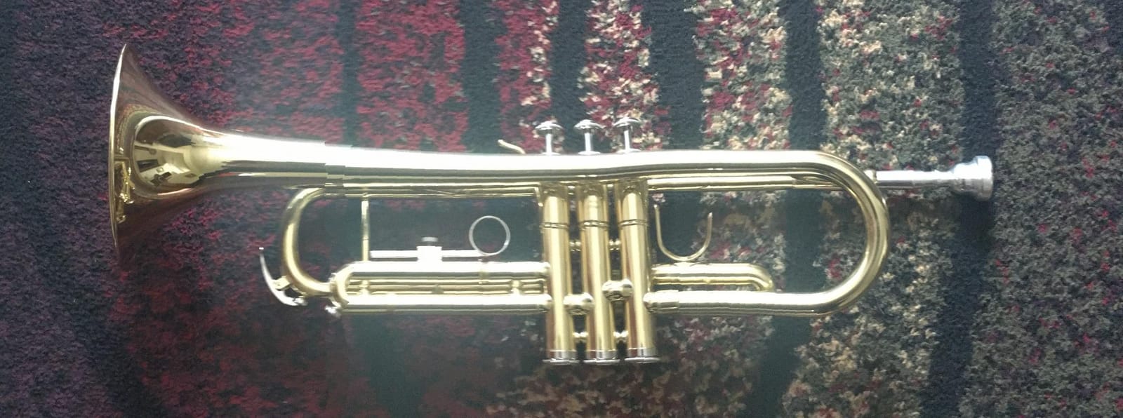 Mendini By Cecilio Bb Standard Trumpet Set for Beginners - Brass Trumpet Instrument with Hard Case, 7C Mouthpiece, Valve Oil, Cleaning Cloth, Maintenance kit and Gloves (Gold) customer photo 1