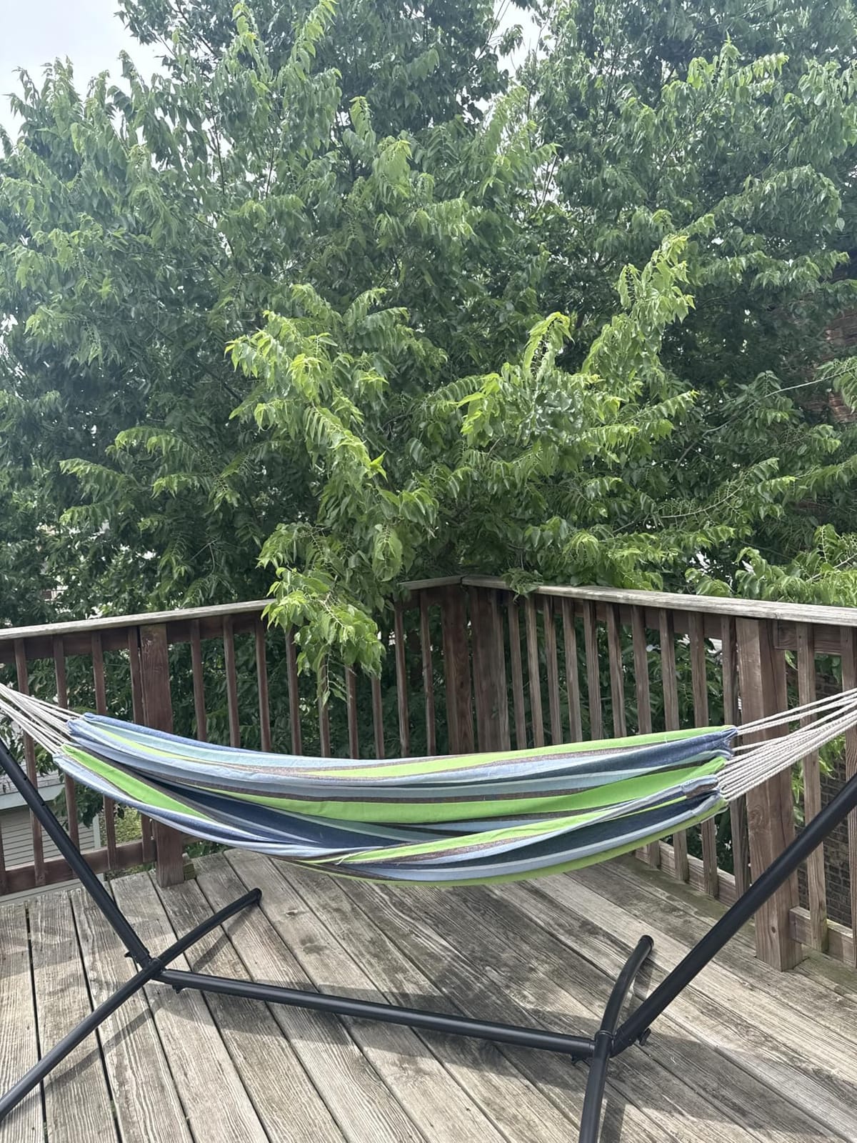 Best Choice Products Double Hammock with Steel Stand, Indoor Outdoor Brazilian-Style Cotton Bed w/Carrying Bag, 2-Person Capacity - Desert Stripes customer photo 2