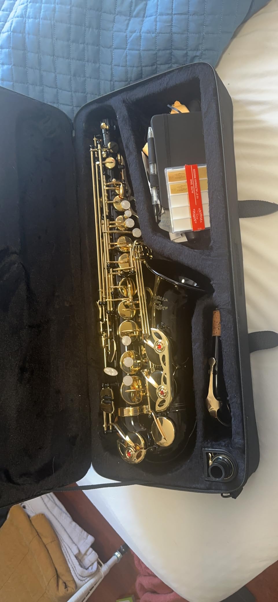 Glory Gold Laquer E Flat Alto Saxophone with 11reeds,8 Pads cushions,case,carekit customer photo 2