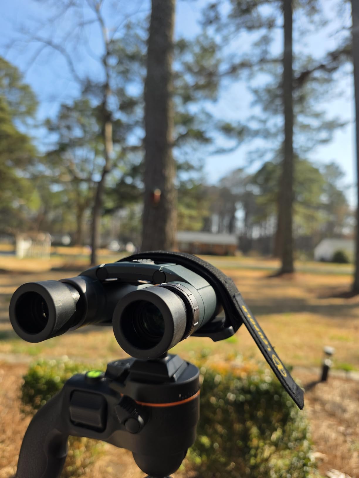 Pentax AD 8x25 WP Binoculars | Waterproof, Suitable for Outdoor Live Event Travel or Even Mountaineering, Green customer photo 2