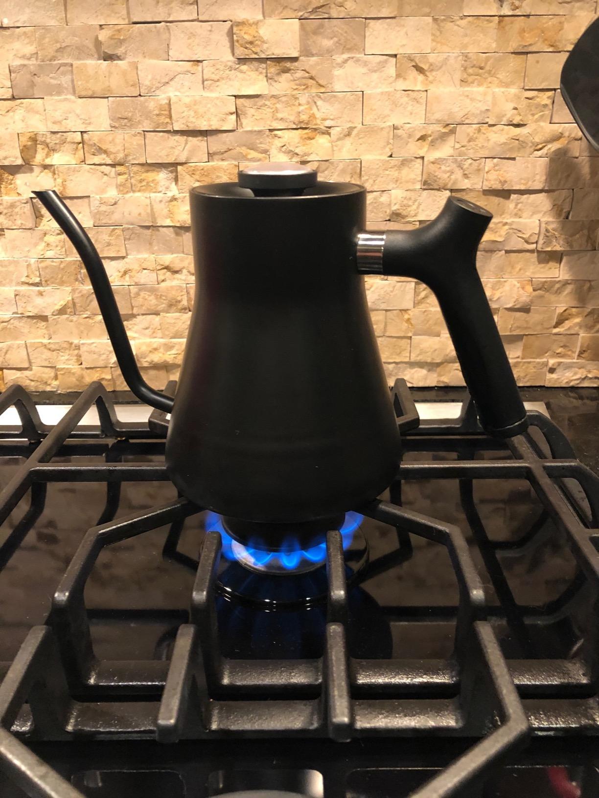 Fellow Stagg Gooseneck Pour Over Kettle for Coffee & Tea - Precision Spout | Brew-Range Thermometer, Stainless Steel, Balanced Handle, Stovetop Teapot for Gas and Electric, 1 Liter, Matte Black customer photo 1